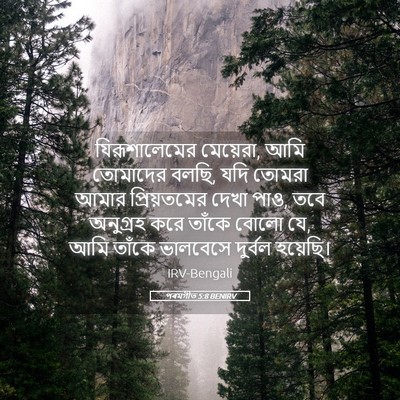 Picture 05 - পৰমগীত 5:8 BENIRV - যিরূশালেমের - Bible Verse Picture