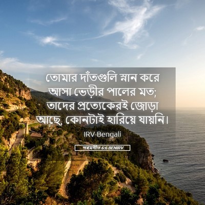 Picture 05 - পৰমগীত 6:6 BENIRV - তোমার দাঁতগুলি - Bible Verse Picture