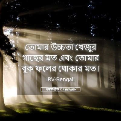 Picture 05 - পৰমগীত 7:7 BENIRV - তোমার উচ্চতা - Bible Verse Picture