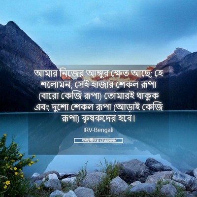 Picture 05 - পৰমগীত 8:12 BENIRV - আমার নিজের আঙ্গুর - Bible Verse Picture