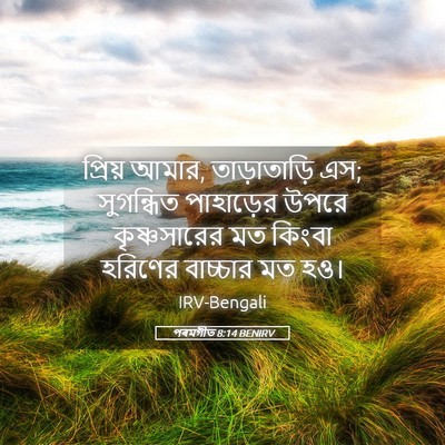 Picture 05 - পৰমগীত 8:14 BENIRV - প্রিয় আমার, - Bible Verse Picture