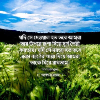Picture 05 - পৰমগীত 8:9 BENIRV - যদি সে দেওয়াল হত - Bible Verse Picture