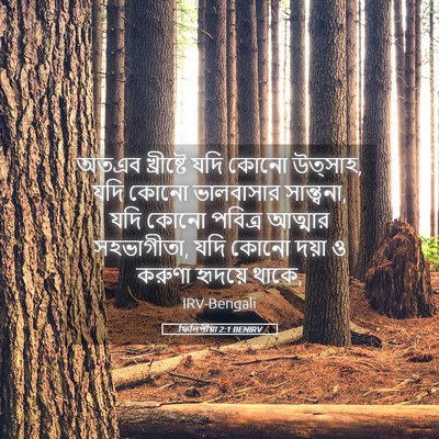 Picture 05 - ফিলিপীয়া 2:1 BENIRV - অতএব খ্রীষ্টে যদি - Bible Verse Picture