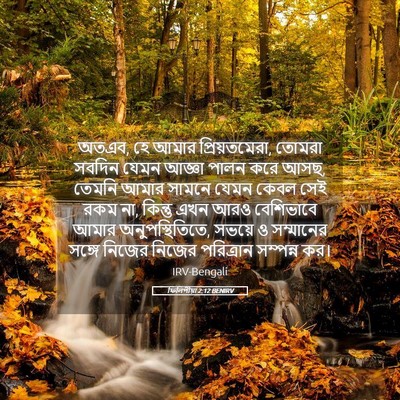 Picture 05 - ফিলিপীয়া 2:12 BENIRV - অতএব, হে আমার - Bible Verse Picture