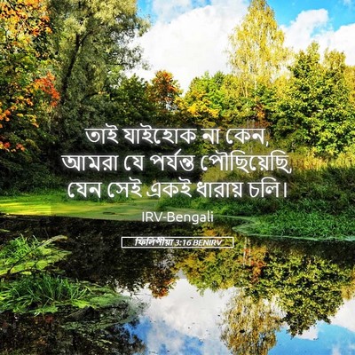 Picture 05 - ফিলিপীয়া 3:16 BENIRV - তাই যাইহোক না কেন, - Bible Verse Picture
