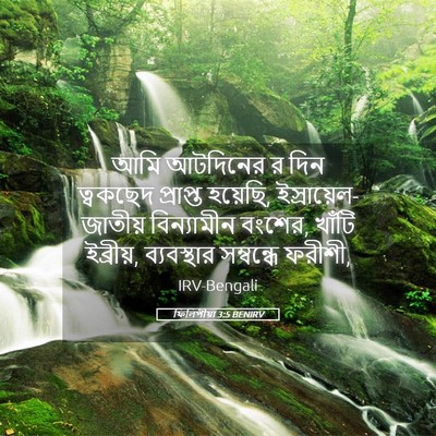 Picture 05 - ফিলিপীয়া 3:5 BENIRV - আমি আটদিনের র দিন - Bible Verse Picture