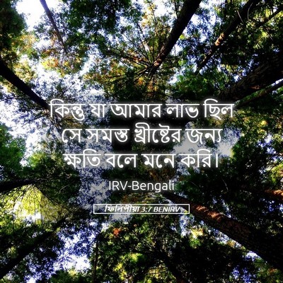 Picture 05 - ফিলিপীয়া 3:7 BENIRV - কিন্তু যা আমার লাভ - Bible Verse Picture