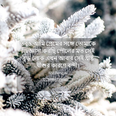 Picture 05 - ফিলীমন 1:9 BENIRV - তবুও আমি প্রেমের - Bible Verse Picture