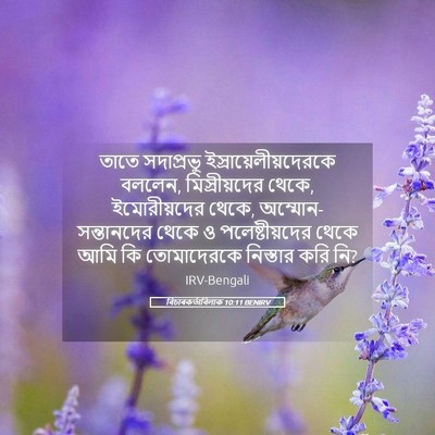 Picture 05 - বিচাৰকর্তাবিলাক 10:11 BENIRV - তাতে সদাপ্রভু - Bible Verse Picture