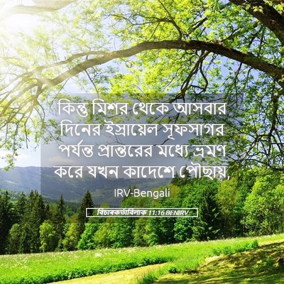 Picture 05 - বিচাৰকর্তাবিলাক 11:16 BENIRV - কিন্তু মিশর থেকে - Bible Verse Picture