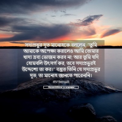 Picture 05 - বিচাৰকর্তাবিলাক 13:16 BENIRV - সদাপ্রভুর দূত - Bible Verse Picture