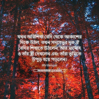 Picture 05 - বিচাৰকর্তাবিলাক 13:20 BENIRV - যখন অগ্নিশিখা - Bible Verse Picture