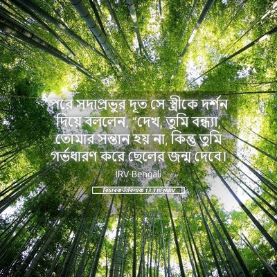 Picture 05 - বিচাৰকর্তাবিলাক 13:3 BENIRV - পরে সদাপ্রভুর দূত - Bible Verse Picture