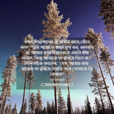 Picture 05 - বিচাৰকর্তাবিলাক 14:16 BENIRV - তখন শিম্‌শোনের - Bible Verse Picture