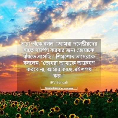 Picture 05 - বিচাৰকর্তাবিলাক 15:12 BENIRV - তারা তাঁকে বলল, - Bible Verse Picture