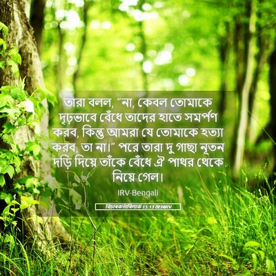 Picture 05 - বিচাৰকর্তাবিলাক 15:13 BENIRV - তারা বলল, “না, কেবল - Bible Verse Picture