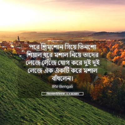 Picture 05 - বিচাৰকর্তাবিলাক 15:4 BENIRV - পরে শিম্‌শোন - Bible Verse Picture