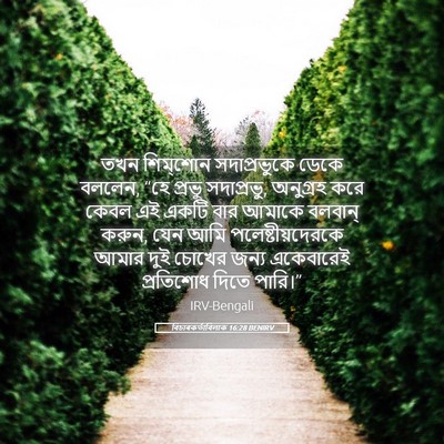 Picture 05 - বিচাৰকর্তাবিলাক 16:28 BENIRV - তখন শিম্‌শোন - Bible Verse Picture