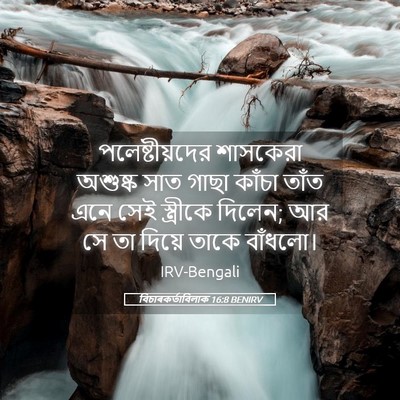 Picture 05 - বিচাৰকর্তাবিলাক 16:8 BENIRV - পলেষ্টীয়দের - Bible Verse Picture