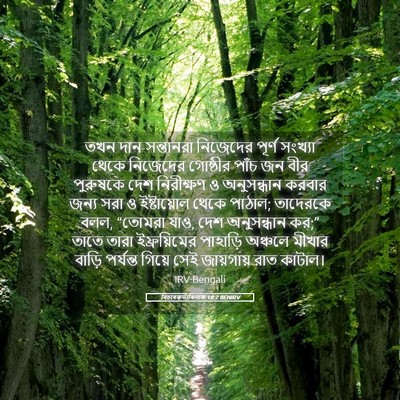 Picture 05 - বিচাৰকর্তাবিলাক 18:2 BENIRV - তখন দান-সন্তানরা - Bible Verse Picture