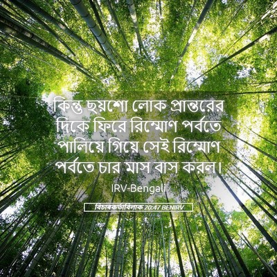 Picture 05 - বিচাৰকর্তাবিলাক 20:47 BENIRV - কিন্তু ছয়শো লোক - Bible Verse Picture