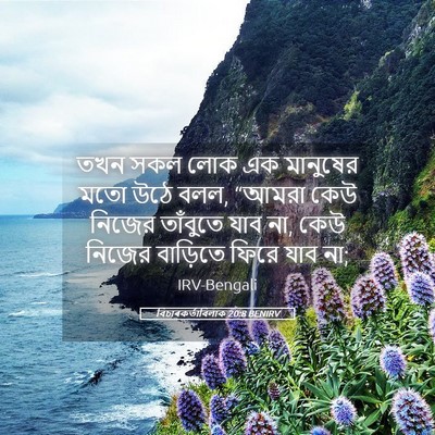 Picture 05 - বিচাৰকর্তাবিলাক 20:8 BENIRV - তখন সকল লোক এক - Bible Verse Picture
