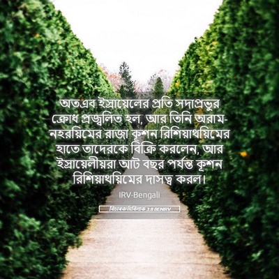 Picture 05 - বিচাৰকর্তাবিলাক 3:8 BENIRV - অতএব ইস্রায়েলের - Bible Verse Picture