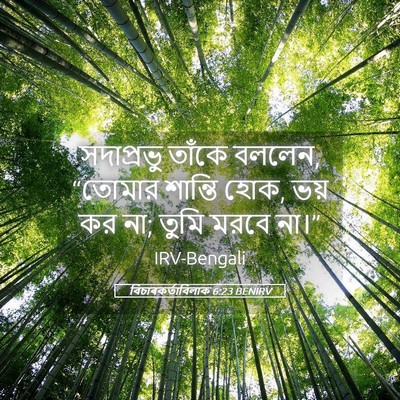 Picture 05 - বিচাৰকর্তাবিলাক 6:23 BENIRV - সদাপ্রভু তাঁকে - Bible Verse Picture