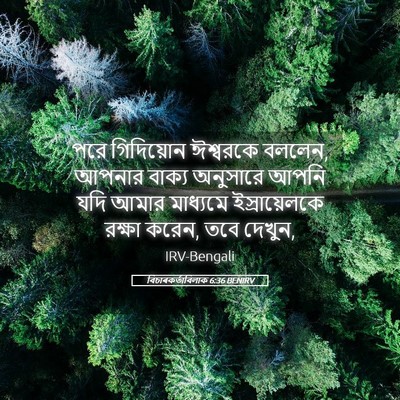 Picture 05 - বিচাৰকর্তাবিলাক 6:36 BENIRV - পরে গিদিয়োন - Bible Verse Picture