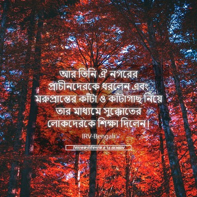 Picture 05 - বিচাৰকর্তাবিলাক 8:16 BENIRV - আর তিনি ঐ নগরের - Bible Verse Picture