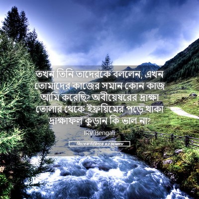 Picture 05 - বিচাৰকর্তাবিলাক 8:2 BENIRV - তখন তিনি তাদেরকে - Bible Verse Picture