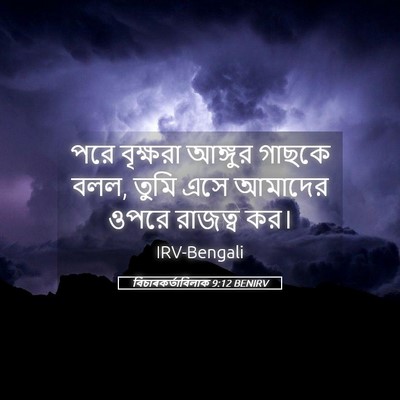 Picture 05 - বিচাৰকর্তাবিলাক 9:12 BENIRV - পরে বৃক্ষরা - Bible Verse Picture