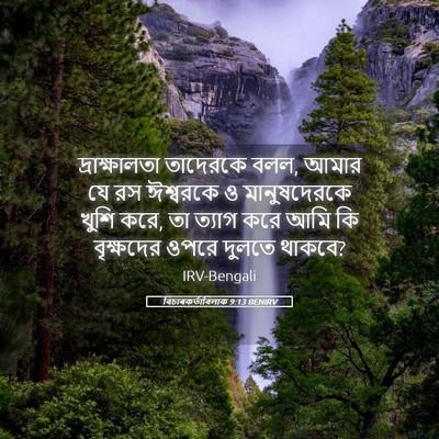 Picture 05 - বিচাৰকর্তাবিলাক 9:13 BENIRV - দ্রাক্ষালতা - Bible Verse Picture