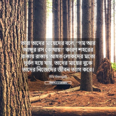 Picture 05 - বিলাপ 2:12 BENIRV - তারা তাদের - Bible Verse Picture