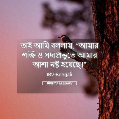 Picture 05 - বিলাপ 3:18 BENIRV - তাই আমি বললাম, - Bible Verse Picture