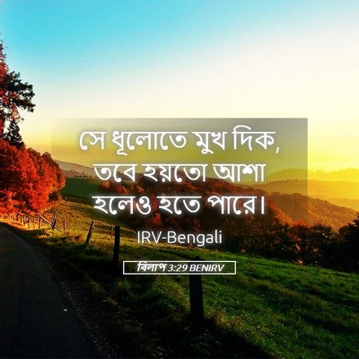 Picture 05 - বিলাপ 3:29 BENIRV - সে ধূলোতে মুখ দিক, - Bible Verse Picture