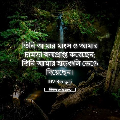 Picture 05 - বিলাপ 3:4 BENIRV - তিনি আমার মাংস ও - Bible Verse Picture