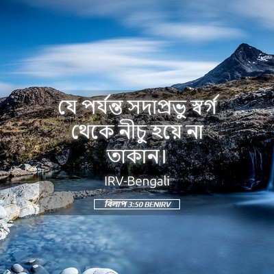 Picture 05 - বিলাপ 3:50 BENIRV - যে পর্যন্ত - Bible Verse Picture