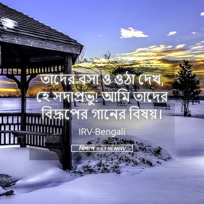 Picture 05 - বিলাপ 3:63 BENIRV - তাদের বসা ও ওঠা - Bible Verse Picture