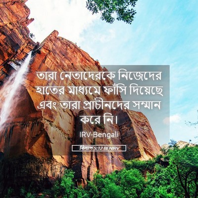 Picture 05 - বিলাপ 5:12 BENIRV - তারা নেতাদেরকে - Bible Verse Picture