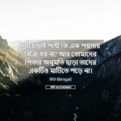 Picture 05 - মথি 10:29 BENIRV - দুটি চড়াই পাখী কি - Bible Verse Picture