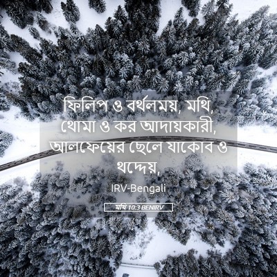Picture 05 - মথি 10:3 BENIRV - ফিলিপ ও বর্থলময়, - Bible Verse Picture