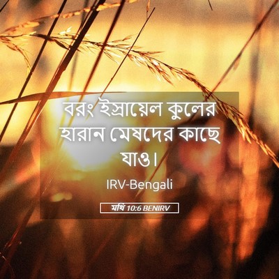 Picture 05 - মথি 10:6 BENIRV - বরং ইস্রায়েল - Bible Verse Picture