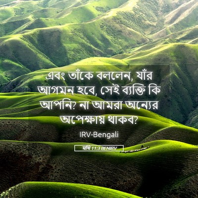 Picture 05 - মথি 11:3 BENIRV - এবং তাঁকে বললেন, - Bible Verse Picture