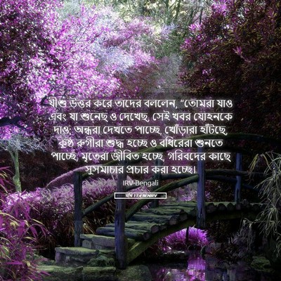 Picture 05 - মথি 11:4 BENIRV - যীশু উত্তর করে - Bible Verse Picture