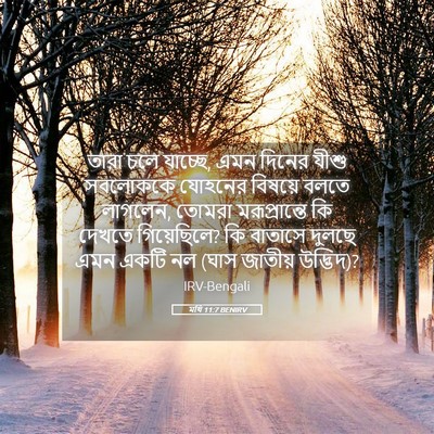 Picture 05 - মথি 11:7 BENIRV - তারা চলে যাচ্ছে, - Bible Verse Picture