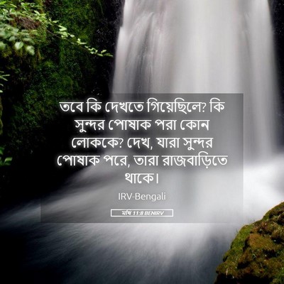 Picture 05 - মথি 11:8 BENIRV - তবে কি দেখতে - Bible Verse Picture