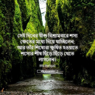 Picture 05 - মথি 12:1 BENIRV - সেই দিনের যীশু - Bible Verse Picture