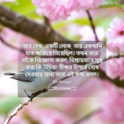 Picture 05 - মথি 12:10 BENIRV - আর দেখ, একটি লোক, - Bible Verse Picture