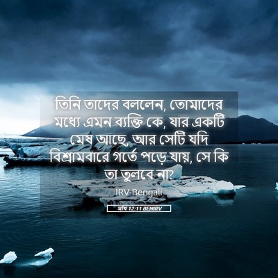 Picture 05 - মথি 12:11 BENIRV - তিনি তাদের বললেন, - Bible Verse Picture